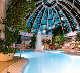 Ein Einblick auf unsere Wasserwelt...