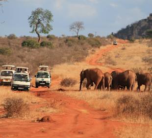 Eindrücke im Tsavo Ost... darum rote Elefanten