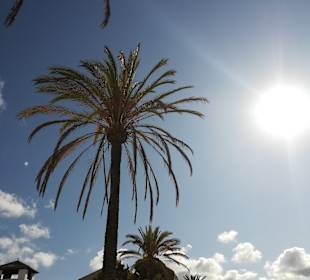 Strand Paguera/Peguera