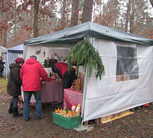 Waldbasar in Dudenhofen