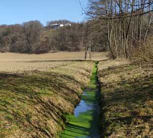 Ein grünes Bächlein