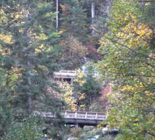 Triberger Wasserfälle