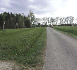 Wanderweg Firstwaldrunde