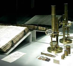 Mikroskop aus Messing mit Holzschatulle, 19. Jh.