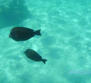 Zwei die sich verstehen