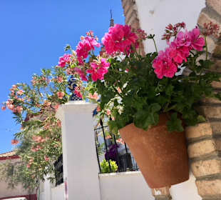 Wandern Zahara De La Sierra