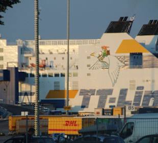 Nils Holgersson im Skandinavienkai