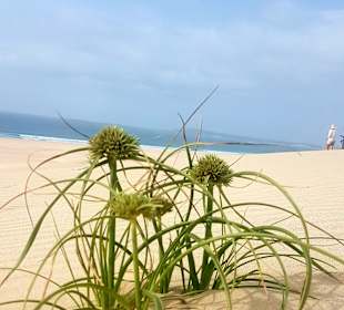 Sand, Sand, Sand