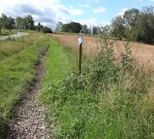 Naturschutzgebiet Zollerhalde Zimmern