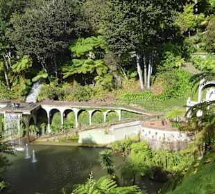 Unterwegs im Tropical Garden