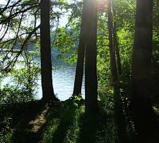 Reintaler See 