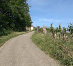 Kreuzweg Wurmlinger Kapelle