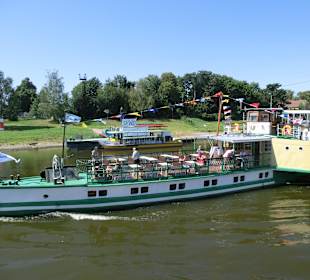 Begegnung auf der Elbe