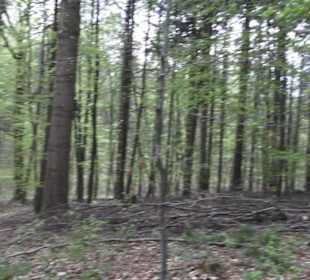 Wanderweg Firstwaldrunde