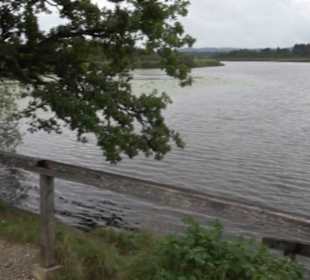 Maisinger See Maising