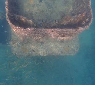 Unterwasserwelt Musandam