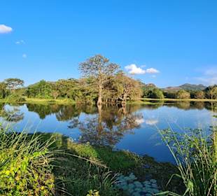 See am Padadise Resort Nähe Dambulla