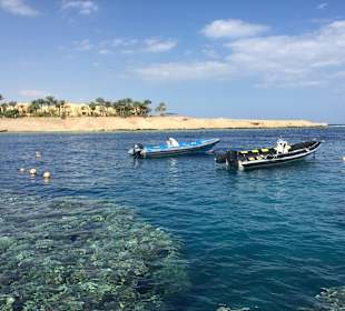 Schnorcheln Coraya Bay Marsa Alam
