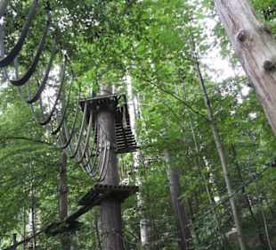Natur-Hochseilgarten Triberg