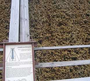 Instrukcja budowy tężni