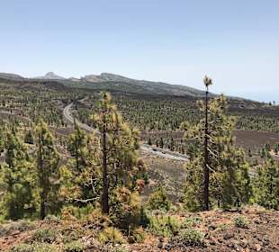 Pico del Teide