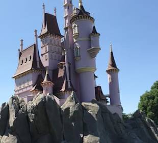 Schloss im Disneyland