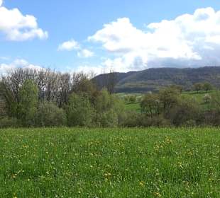 Naturerlebnisweg des NABU-Metzingen