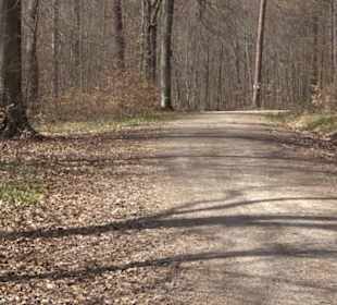 Fäulbachtal