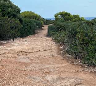 Strand Punta Prima