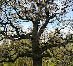 Wandern Kleinbartloff
