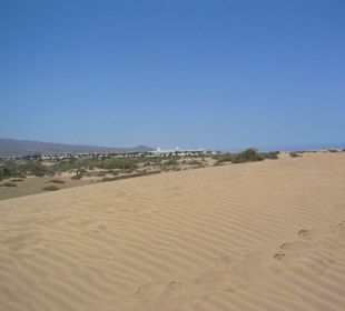 Dünen in Maspalomas bei Meloneras