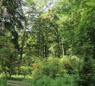 Schloss Dyck