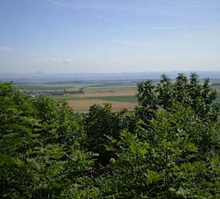 Příroda v okolí Řípu