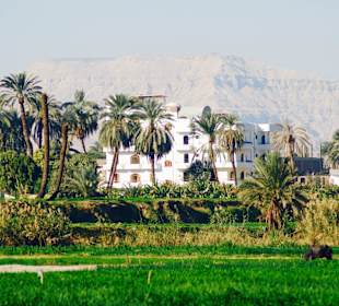 Luxor vom Nil aus fotografiert