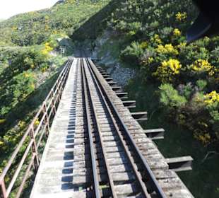 Mitder Taileri Railway durch die Natur Neuseelands