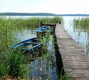 Typisch Plauer See