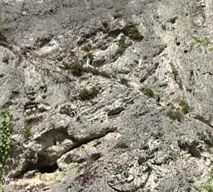 Wallersteiner Felsen