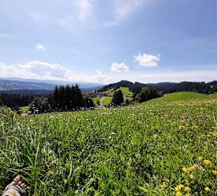 Wandern Scheidegg