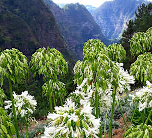 Schöne Landschaft Nonnental