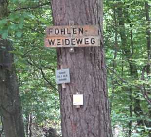 Altwege Rundwanderung Bebenhausen