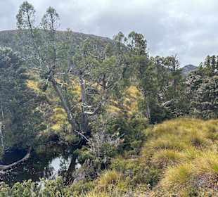Cradle Mountain National Park