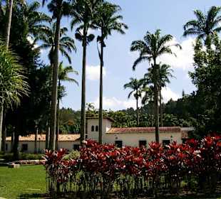 Universidad Simón Bolívar