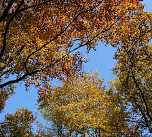 Wanderwetter - auf gehts!