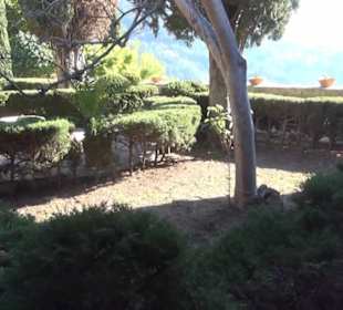 Priorzelle - Garten der Mönche