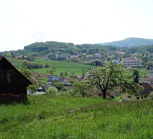 Schöne Aussichten beim Rückweg zum Stradner Kogel