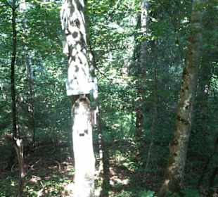 Premiumwanderweg "hochgesprudelt"