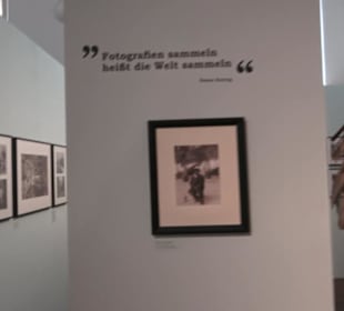 Museum für Völkerkunde