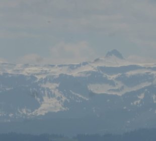 Eindrücke unserer Wanderung am Pfänder