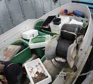 Fangfrischer Fisch vom Kutter