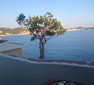 Strand Paguera/Peguera